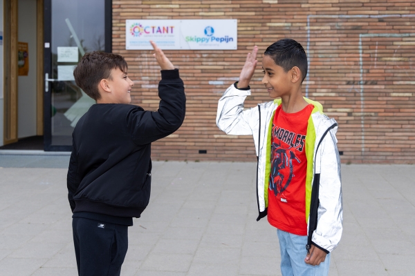Interne ondersteuning Vlinderboom Octant Pijnacker
